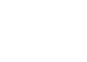 bazylia.eu